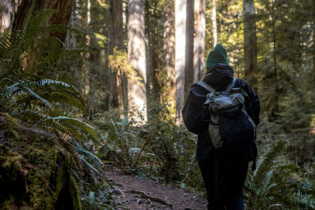 young person walking through forest navigating adhd and life